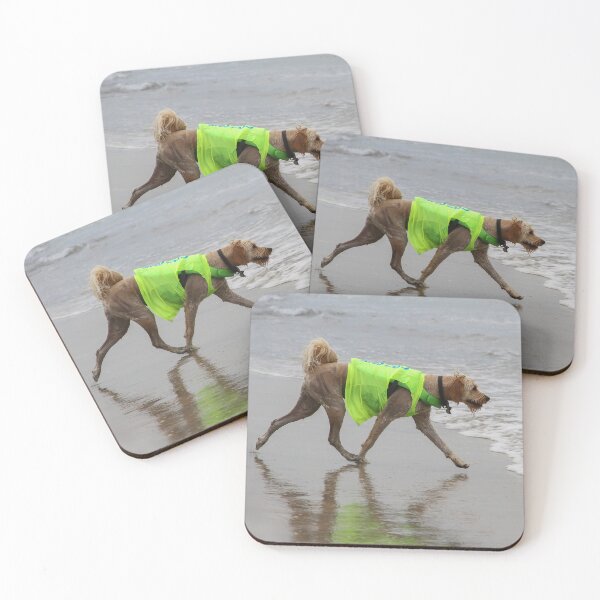 Item preview, ¡Tengo que encontrar mi tabla de surf! designed and sold by heatherfriedman.