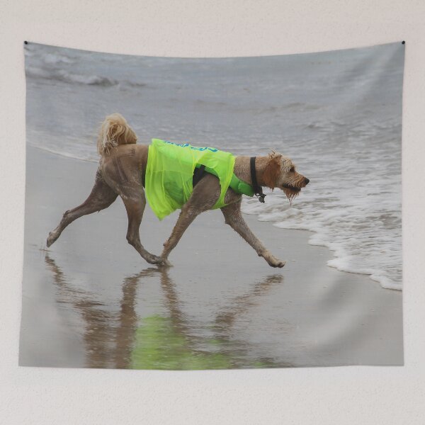 Item preview, I've Got To Find My Surfboard!  designed and sold by heatherfriedman.