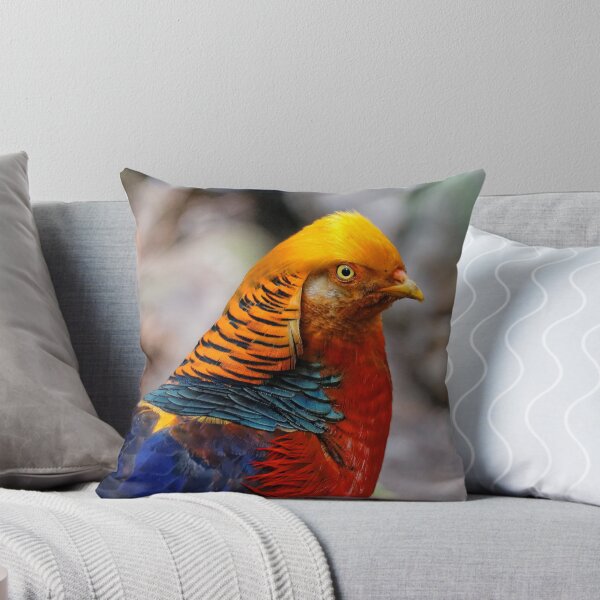 Item preview, Dressed to Impress: Profile of a Red Golden Pheasant designed and sold by walkswithnature.