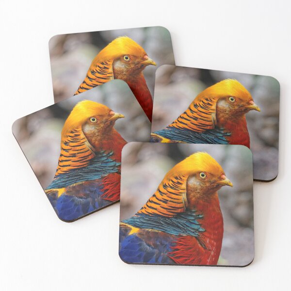 Item preview, Dressed to Impress: Profile of a Red Golden Pheasant designed and sold by walkswithnature.