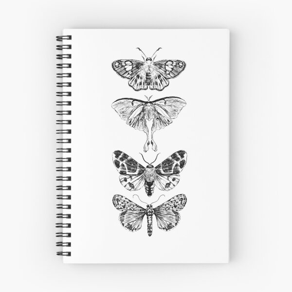 Aperçu de l'œuvre Papillon de nuit vintage créée et vendue par EvieJsDesign.
