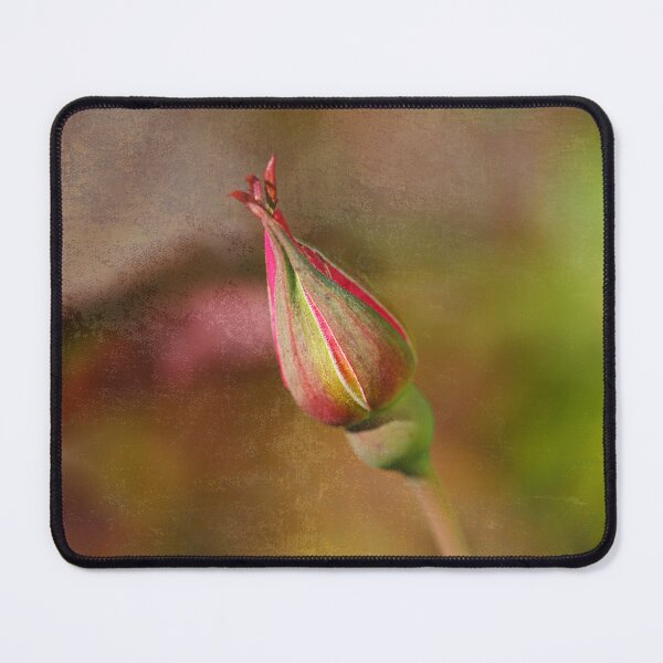 Item preview, Rosebud Of Hope designed and sold by Joy Watson - Natural Light Photography .