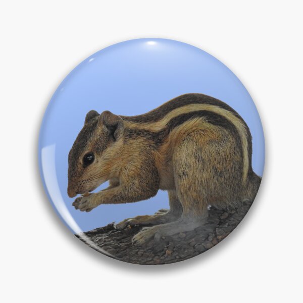 Item preview, Indian Squirrel designed and sold by AussieAl.