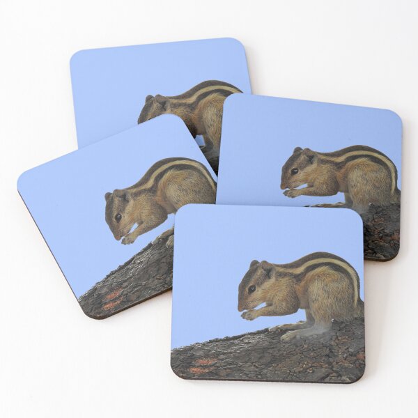 Item preview, Indian Squirrel designed and sold by AussieAl.
