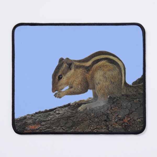 Item preview, Indian Squirrel designed and sold by AussieAl.
