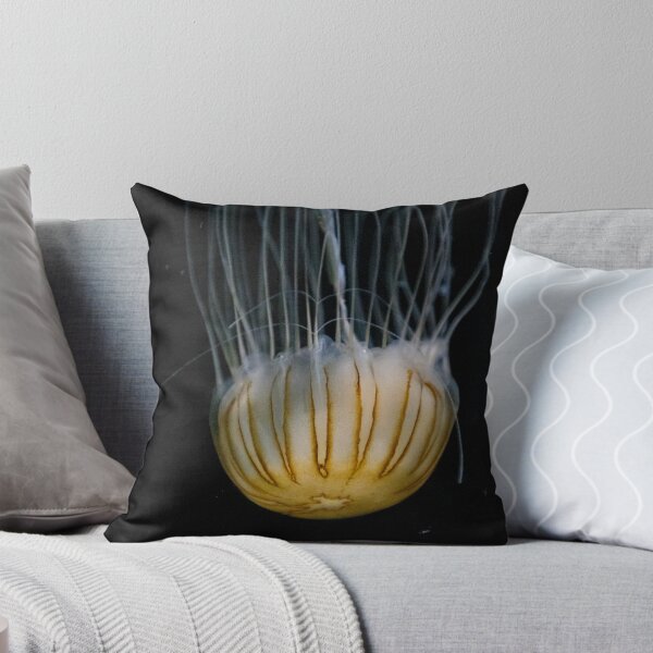 Item preview, Solo Jellyfish designed and sold by vilo99.