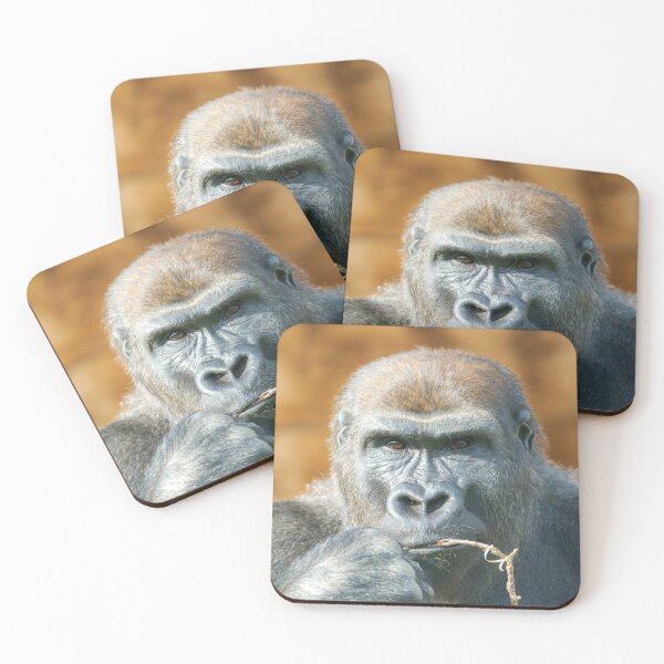 Item preview, Face-to-Face with a Gorilla designed and sold by rawshutterbug.