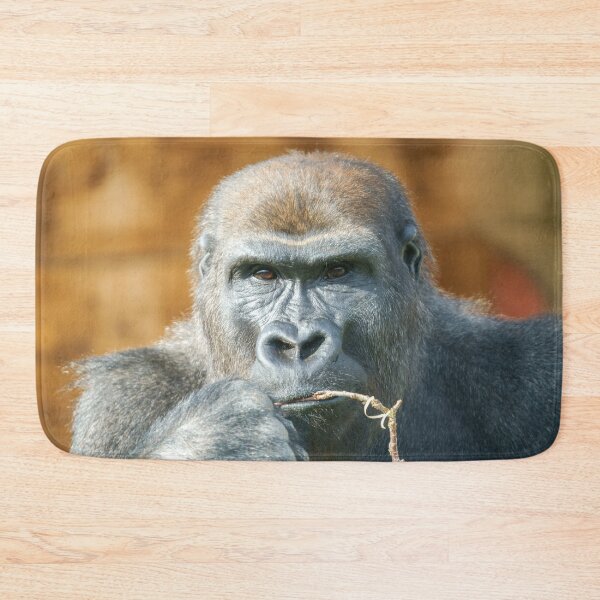 Item preview, Face-to-Face with a Gorilla designed and sold by rawshutterbug.
