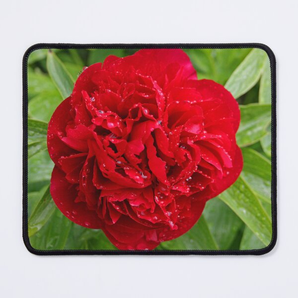 Item preview, Red Peony designed and sold by RedHillDigital.