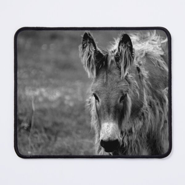 Item preview, Oh Little Donkey designed and sold by Ladymoose.