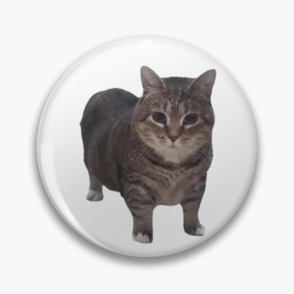Item preview,  Oeeaiooeeaio Cat Meme TikTok designed and sold by sassywaffles.