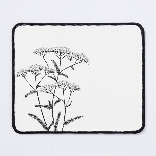 Item preview, Yarrow Achillea millefolium yarrow, ink, hand drawn designed and sold by HoldasGarten.