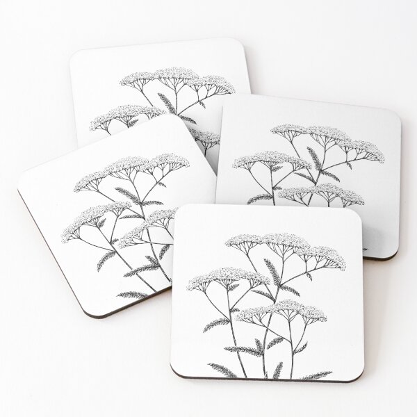 Item preview, Yarrow Achillea millefolium yarrow, ink, hand drawn designed and sold by HoldasGarten.