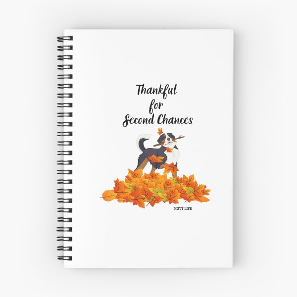 Item preview, Thankful for Second Chances designed and sold by Kindred & Thistle.
