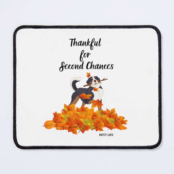 Item preview, Thankful for Second Chances designed and sold by Kindred & Thistle.