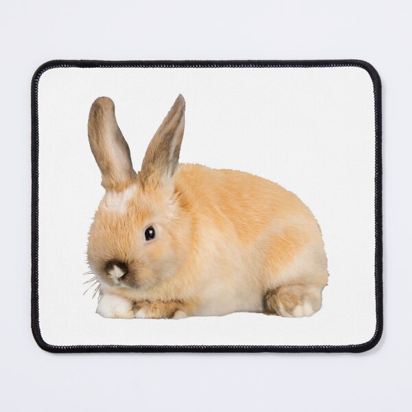 Item preview, Bunny designed and sold by Nikiolilalala.