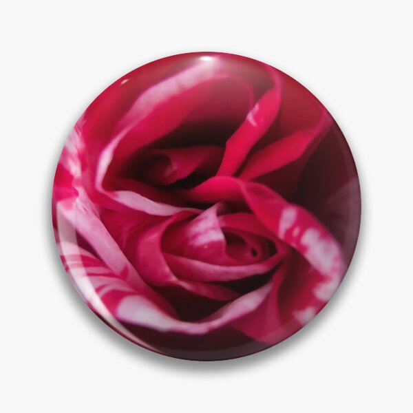 Item preview, Closeup of a Mini Rose designed and sold by Quincy-Hedgehog.