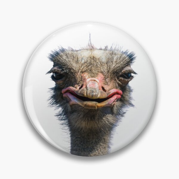 Item preview, Ostrich designed and sold by Nikiolilalala.