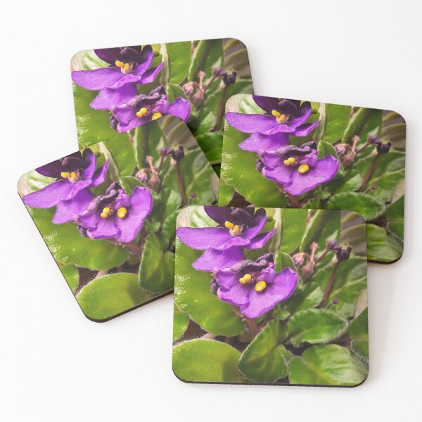 Item preview, Closeup: African Violet Flowers designed and sold by Quincy-Hedgehog.