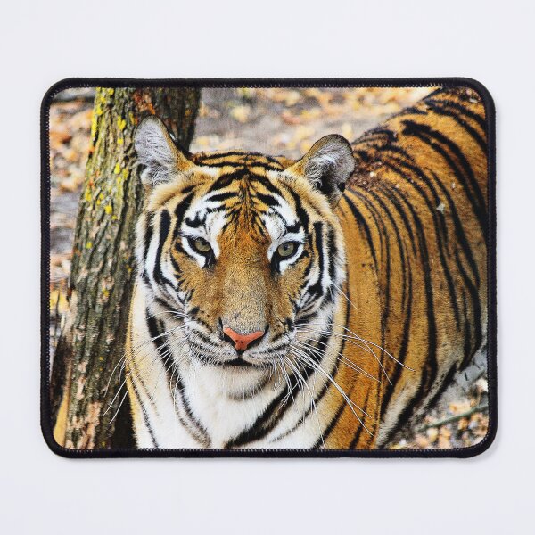 Item preview, The eye of the tiger designed and sold by Vanja Rosenthal.