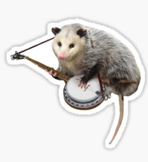 Possum Playing Banjo Sticker