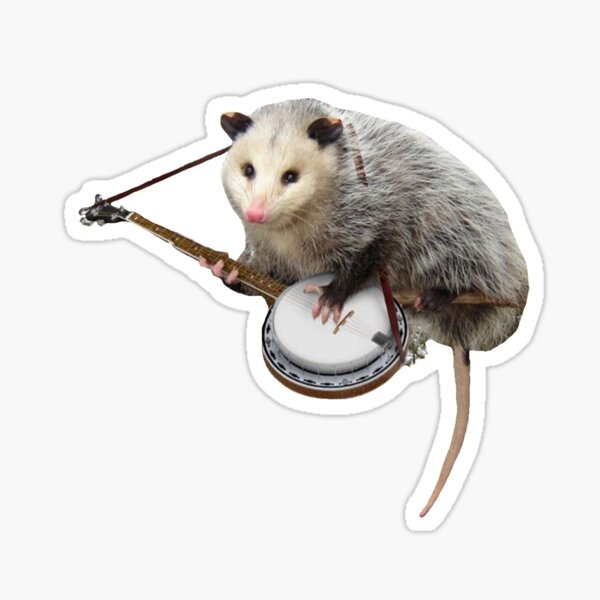 Possum jugando banjo Pegatina
