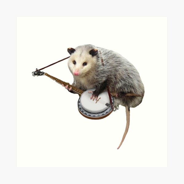 Possum Playing Banjo Art Print