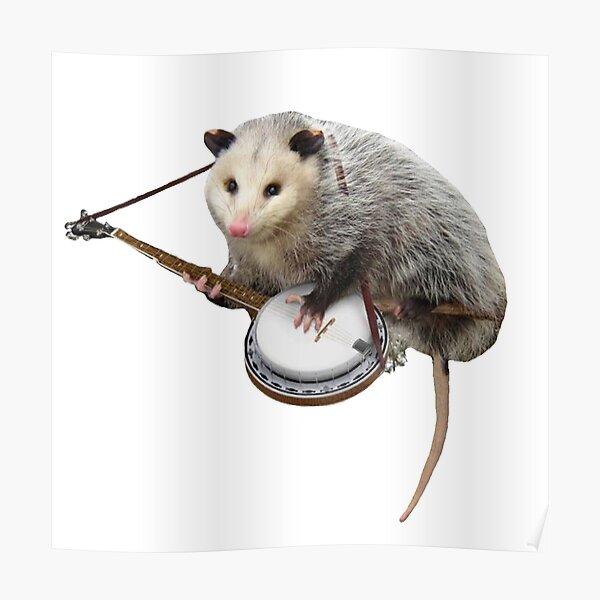 Opossum spielt Banjo Poster