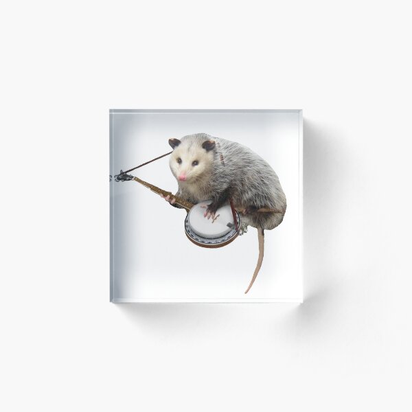 Possum Playing Banjo Acrylic Block