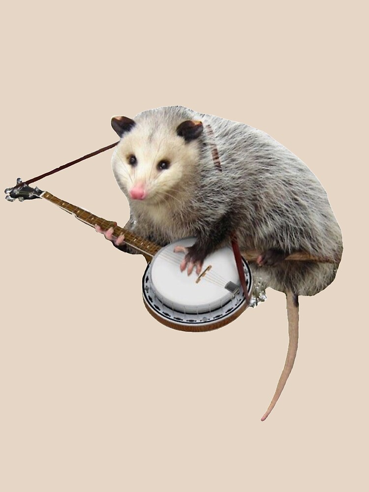 Possum Playing Banjo by kate-designs