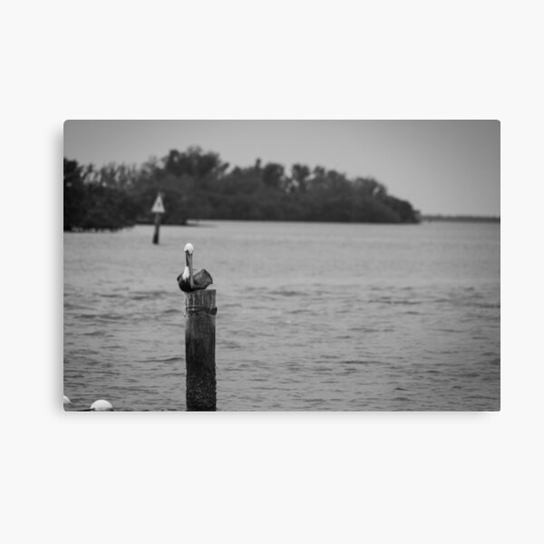 Item preview, A pelican perches calmly on a weathered post in a tranquil Gulf of Mexico at the Anclote Gulf Park. designed and sold by EyezWatchin.