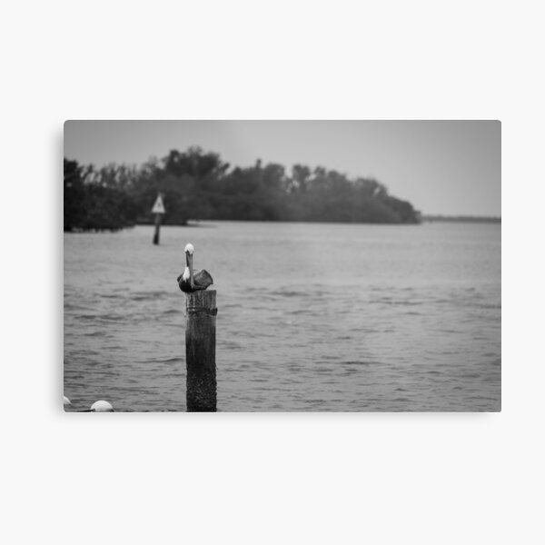Item preview, A pelican perches calmly on a weathered post in a tranquil Gulf of Mexico at the Anclote Gulf Park. designed and sold by EyezWatchin.
