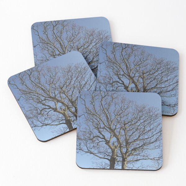 Item preview, Trees Man! designed and sold by fluffystuffyness.