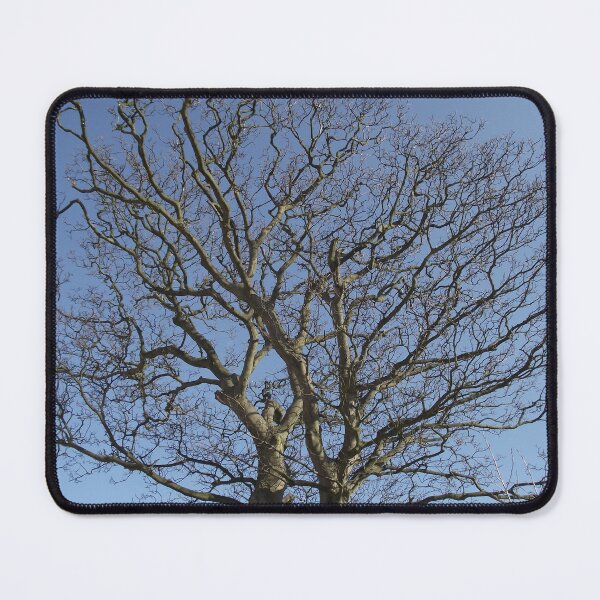 Item preview, Trees Man! designed and sold by fluffystuffyness.