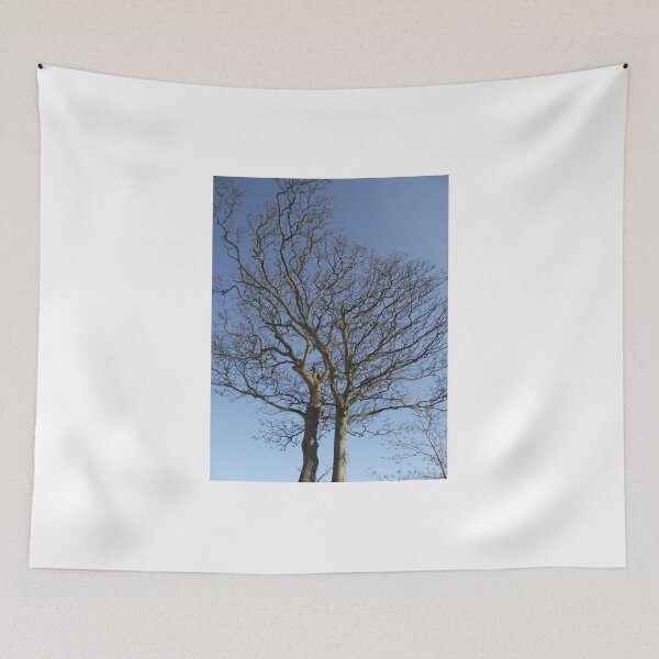 Item preview, Trees Man! designed and sold by fluffystuffyness.