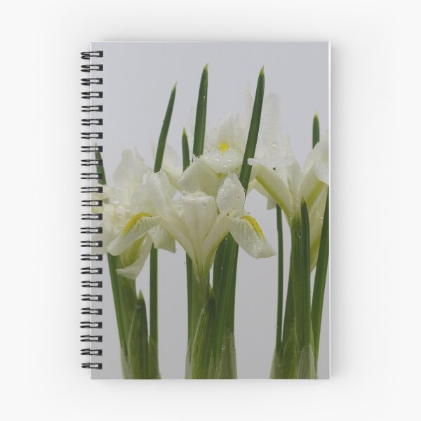 Item preview, Irisses designed and sold by Hanneke Jonkman.