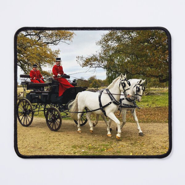 Item preview, Horse and Carriage designed and sold by Angelika Kjeller.