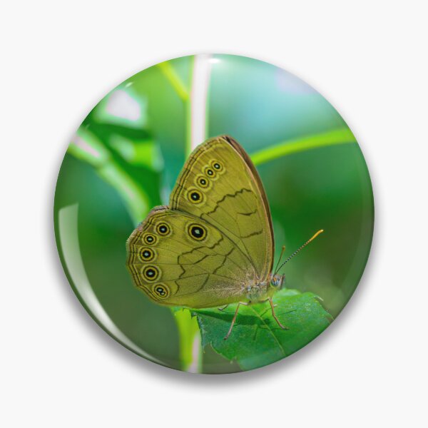 Item preview, SummerLove - Butterfly With Eyes In Wings (Photograph) designed and sold by RealmOfImages.