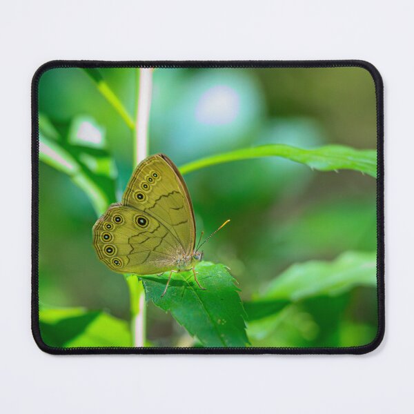 Item preview, SummerLove - Butterfly With Eyes In Wings (Photograph) designed and sold by RealmOfImages.