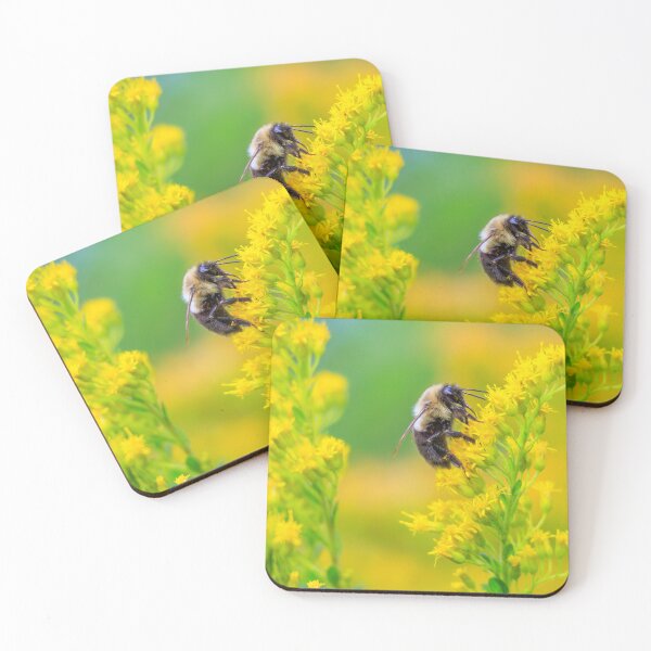 Item preview, The Grand Feeding - Bee Feeding In The Meadow - September 2024 (Photograph) designed and sold by RealmOfImages.