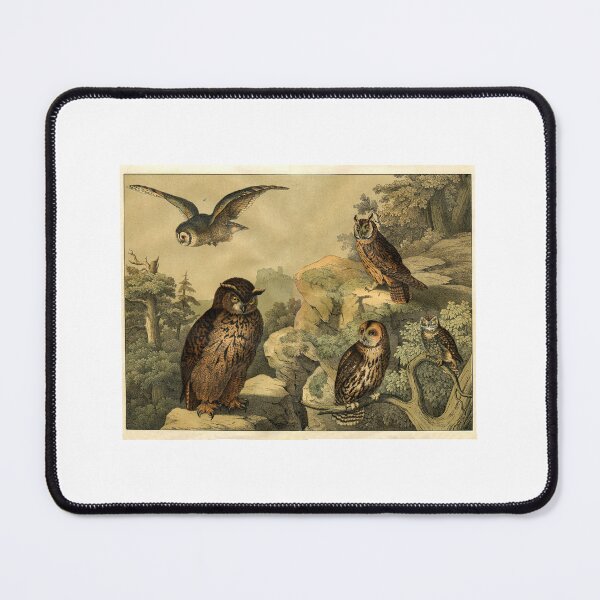 Item preview, tablet of owls designed and sold by KAY Artists.