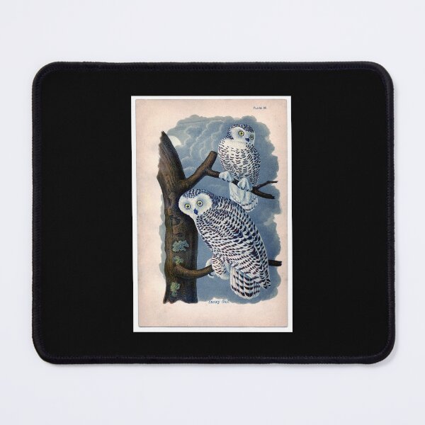 Item preview, Blue snow owls designed and sold by KAY Artists.