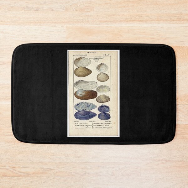 Item preview, Blueshells designed and sold by KAY Artists.