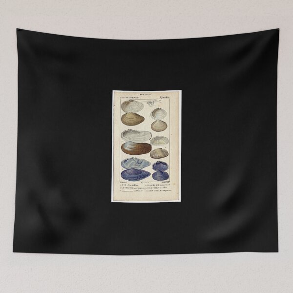 Item preview, Blueshells designed and sold by KAY Artists.