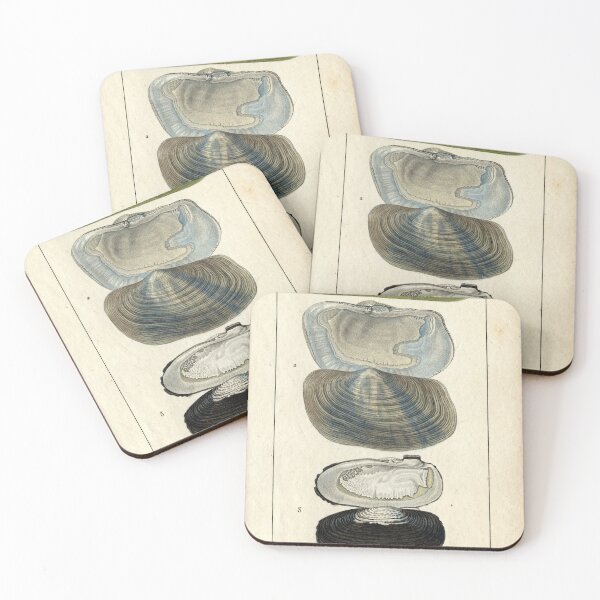 Item preview, American boormosselen designed and sold by KAY Artists.
