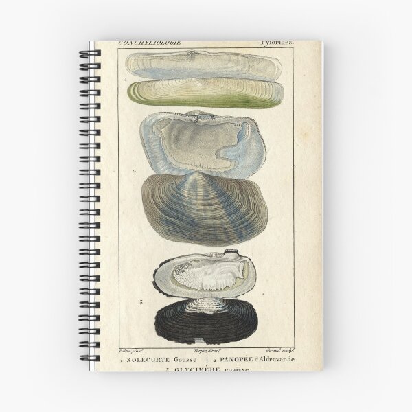 Item preview, American boormosselen designed and sold by KAY Artists.