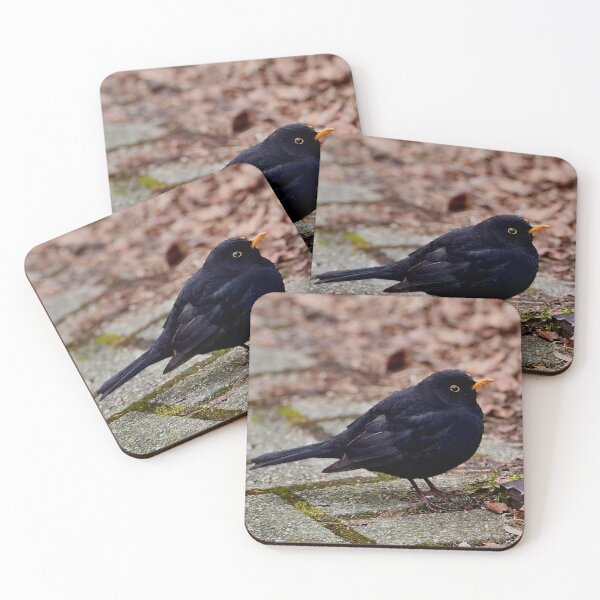Item preview, Eurasian Blackbird  designed and sold by ontological.