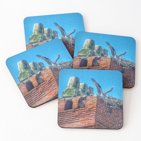 Item preview, Osprey designed and sold by Larrysphotos.