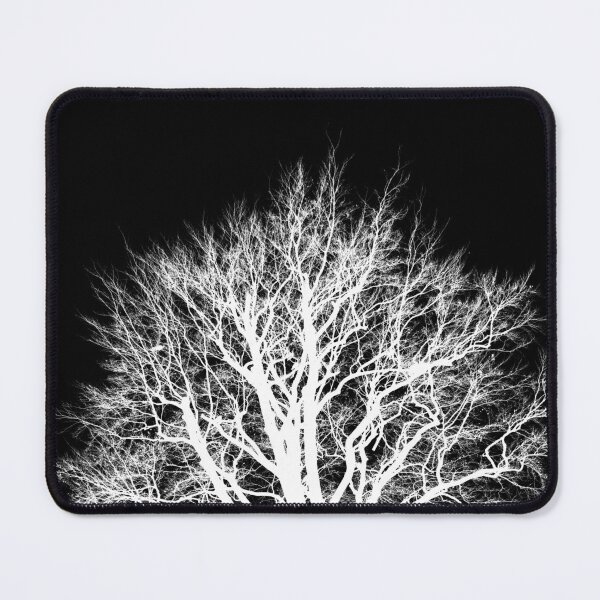 Item preview, Beech silhouette, monochrome inverted cropped designed and sold by paulboizot.