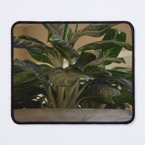 Item preview, Potted Plant from Bellagio designed and sold by MangoSeeds.